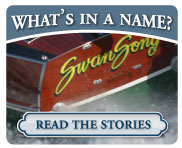 What's in a Name?