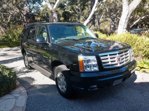 Doris Day 2002 Cadillac Escalade